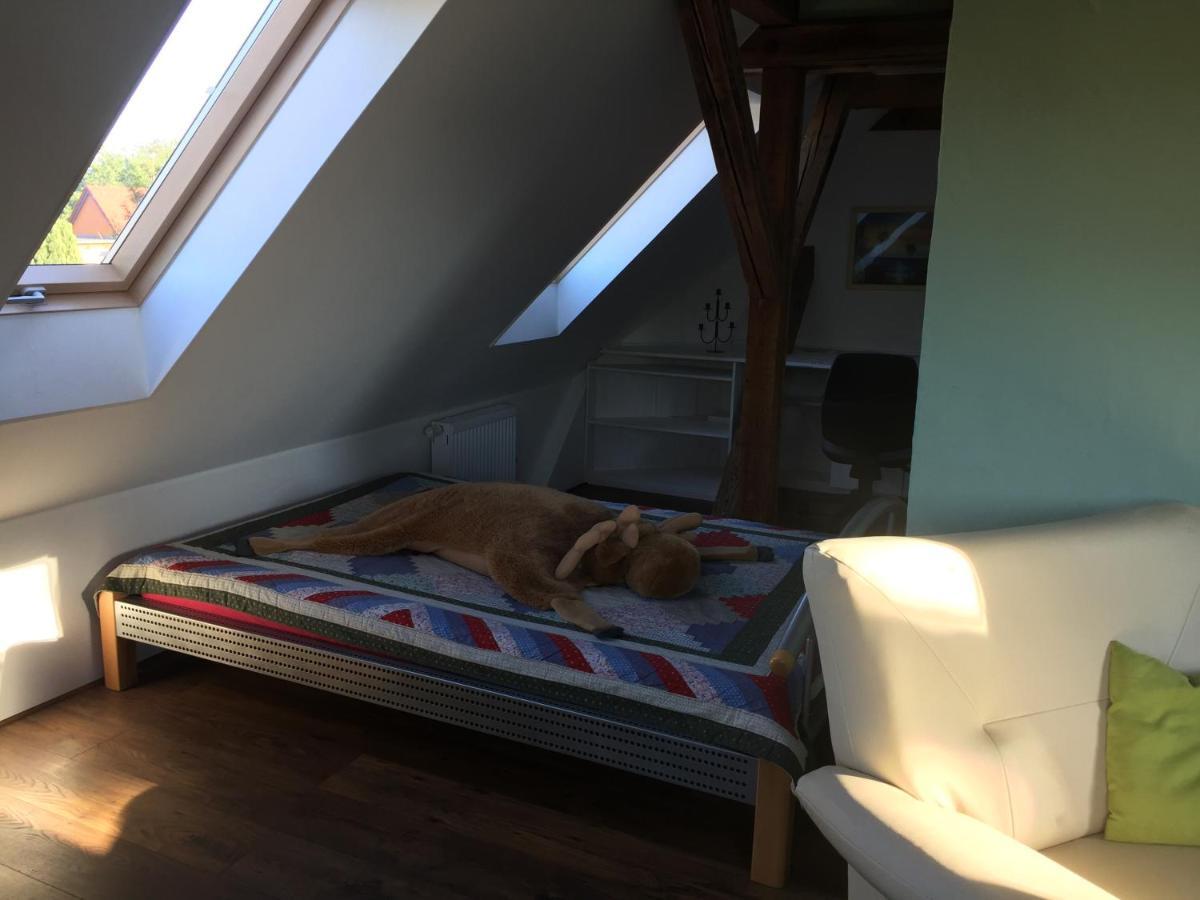 Ferienwohnung Schulze Freital Extérieur photo